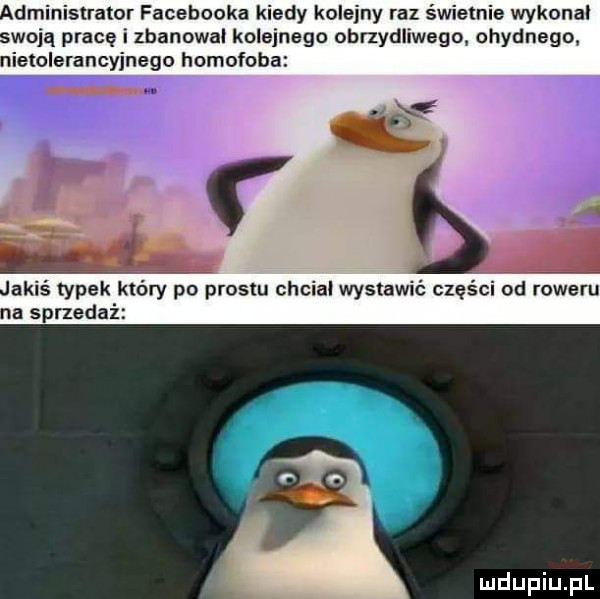 administrator facebooka kiedy kolejny raz świetnie wykonał swoją pracę i zbanowai kolejnego obrzydliwego ohydnego nietolerancyjnego homofoba. b jakiś typek który po prestu chcial wystawić części od roweru na sprzedaż