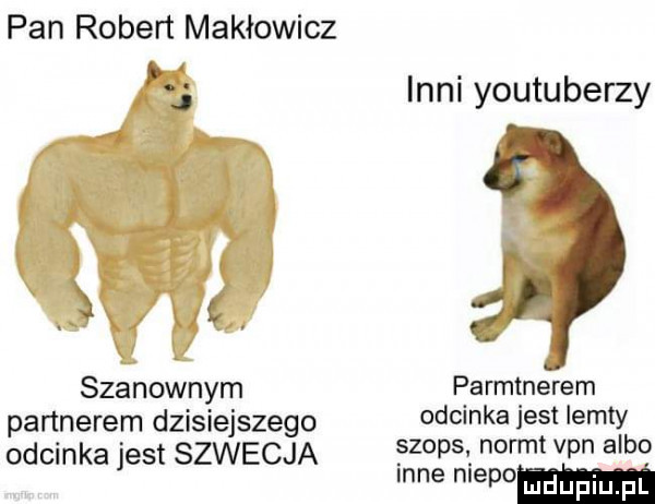 pan robert makłowicz p. j s szanownym partnerem dzisiejszego odcinka jest szwecja inni youtuberzy parmlnerem odcinka jest iemty szops norm van albo inne niebo