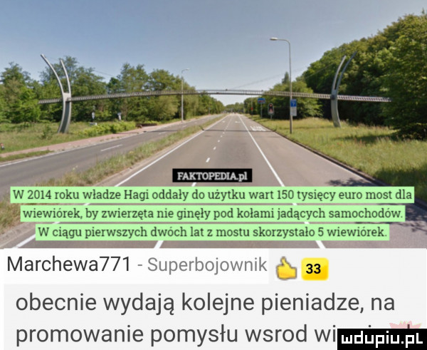 marchewa    su porboiov raik. abakankami obecnie wydają kolejne pieniadze na promowanie pomysłu wsrod wim
