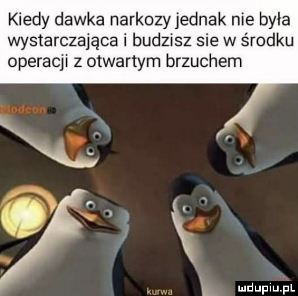 kiedy dawka narkozyjednak nie była wystarczająca i budzisz sie w środku operacji z otwartym brzuchem l