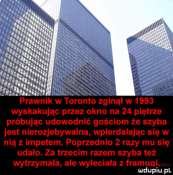 biła. abakankami prawnik w toronto zginął w      wyskakując przez okno na    piętrze próbując udowodnić gościom że szyba jest nierozjebywalna wpierdalając się w nią z impetem. poprzednio   razy mu się udało. za trzecim razem szyba też wytrzymała ale wyleciała z framugi