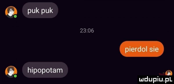 puk puk       hipopotam