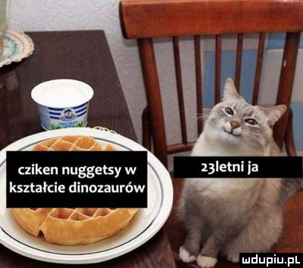 cziken nuggetsy w kształcie dinozaurów