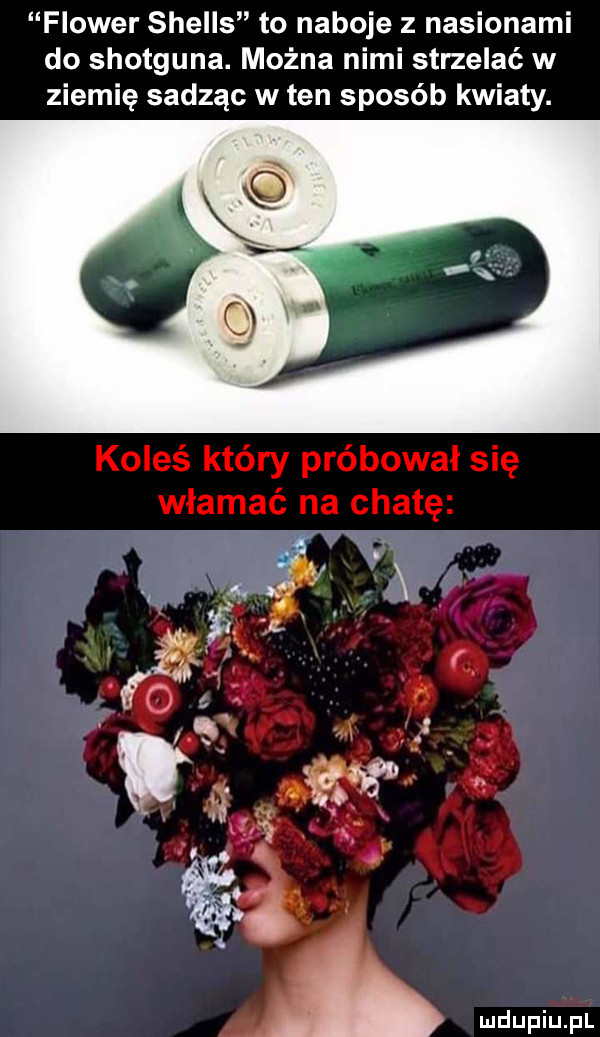 flower shells to naboje z nasionami do shotguna. można nimi strzelać w ziemię sadzac w ten sposób kwiaty. wdupiu pl