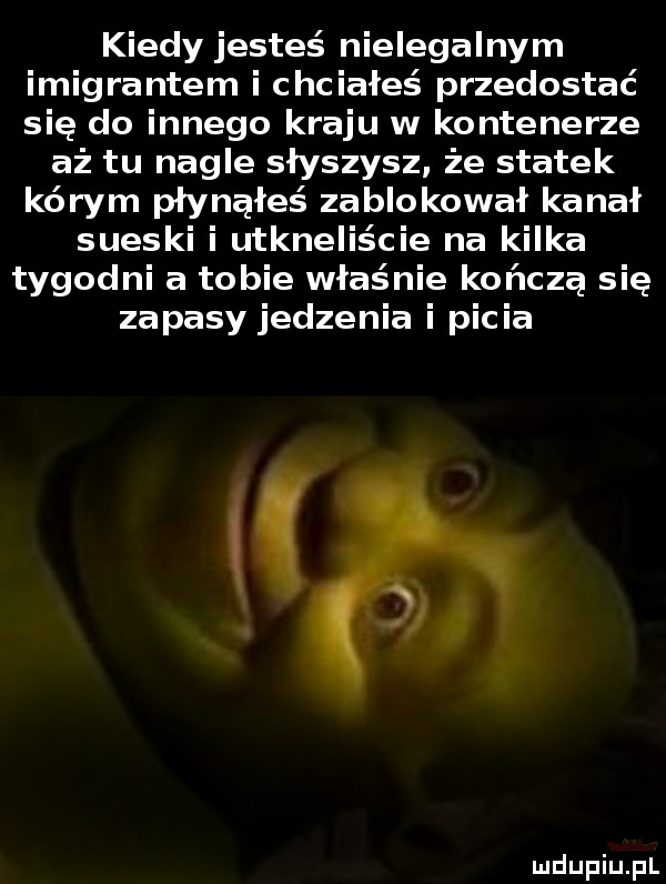 kiedy jesteś nielegalnym imigrantem i chciałeś przedostać się do innego kraju w kontenerze aż tu nagle słyszysz że statek karym pływałeś zablokował kanał sueski i utknęliście na kilka tygodni a tobie właśnie kończą się zapasy jedzenia i picia