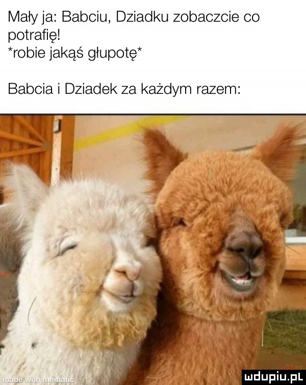 mały ja babciu dziadku zobaczcie co potrafię robie jakąś głupotę babcia i dziadek za każdym razem