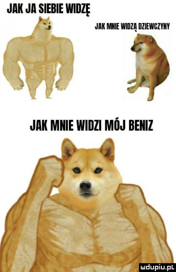 jiiii jii siebie widze j jiiii mnie wade iiziewgii iii jiiii micie wiiizi mflj beiiiz l   f z i i