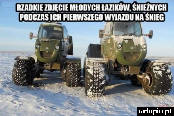 ll all kle zpieęie lnianym iaziiiw. siieiivgi piiiiglas ilii piemśiegii mami ia śnieg