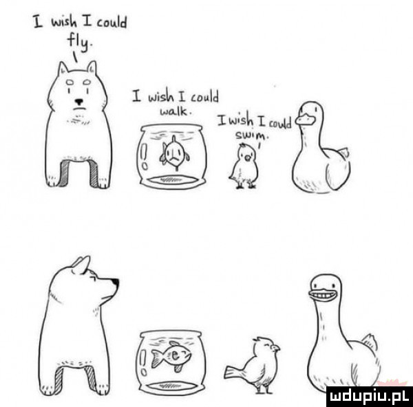 i. wsk i could hu. i wisk i could a luisl. nw