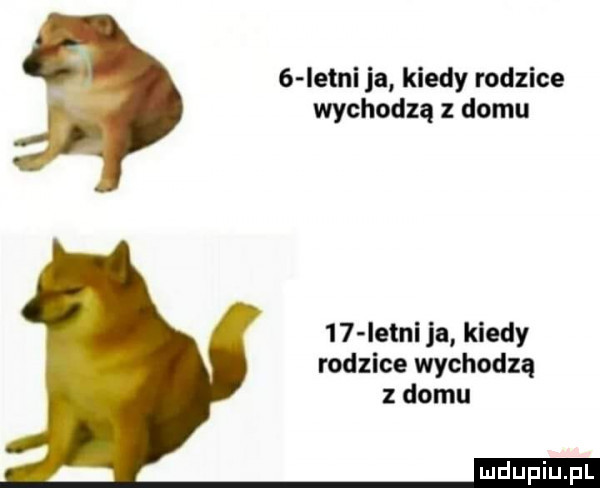 istni ja kiedy rodzice wychodzą z domu    istni ja kiedy rodzice wychodzą z domu