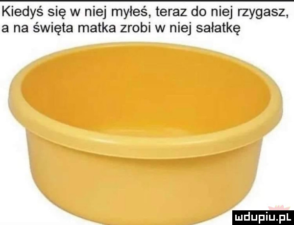 kiedyś się w niej myłeś teraz do niej rzygasz a na święta matka zrobi w niej sałatkę ludu iu. l