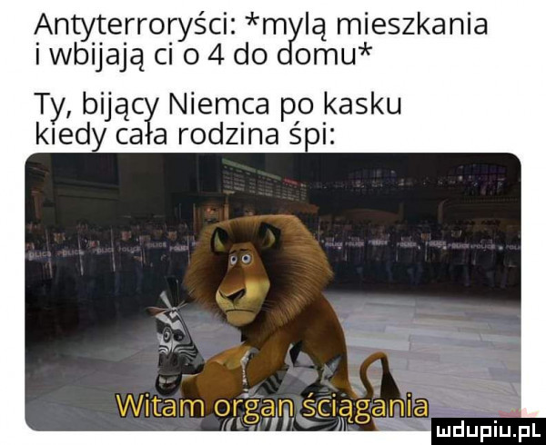 antyterroryści m lą mieszkania i wbijają ceo   do  mu t bijąc niemca po kasku kiyedy ceł a rodzina śni