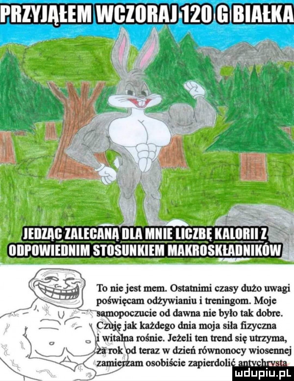 to niejest mem. ostatnimi czasy dużo uwagi poświęcam odżywianiu i n cningom. moje ngmpoczucie od dawna nie bylo tak dobre. l czekę jak kazdego dnia moja sila fizyczna italia rośnie. jezeli ten trend się utrzyma rok od mz w dzień mwnonocy wiosennej zamigdzamoscbiście zapierdoli u luduplu l