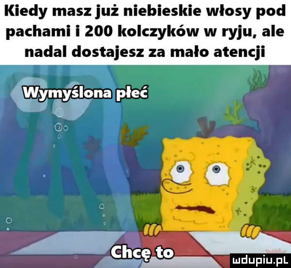 kiedy masz już niebieskie włosy pod pachami i     kolczyków w ryju ale nadal dostajesz za malo atencji wimy él ona płeć