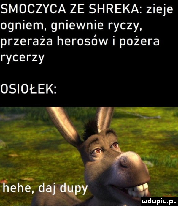 smoczyca ze shreka zieje ogniem gniewnie ryczy przeraża herosów i pożera rycerzy osiołek lf hebe. daj dupy