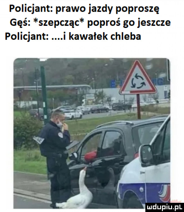 policjant prawo jazdy poproszę gęś szepcząc poproś go jeszcze policjant i kawałek chleba luclupiu pl