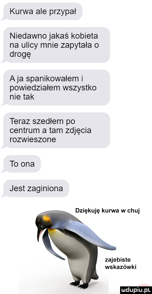 kurwa ale przypał niedawno jakaś kobieta na ulicy mnie zapytała o drogę aja spanikowałem i powiedziałem wszystko nie tak teraz szedłem po centrum a tam zdjęcia rozwieszone to ona jest zaginiona dziękuję kurwa w chuj zajebiste wskazówki ludu iu. l