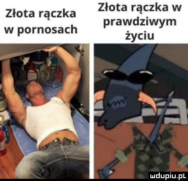 złota rączka w prawdziwym życiu złota rączka w pornosach
