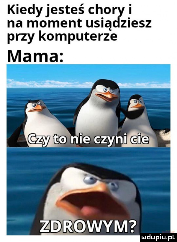kiedyjesteś chory i na moment usiądziesz przy komputerze mama qn ilelczyni ghq