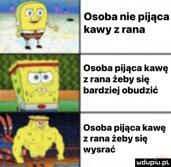 osoba nie pijąca kawy z rana osoba pijąca kawę z rana żeby się bardziej obudzić osoba pijąca kawę z rana żeby się wysrać ludu iu. l