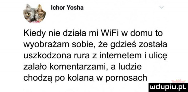i g ichor yasha kiedy nie działa mi wifi w domu to wyobrażam sobie że gdzieś została uszkodzona rura z internetem i ulicę zalało komentarzami a ludzie chodzą po kolana w pornosach ludu iu. l