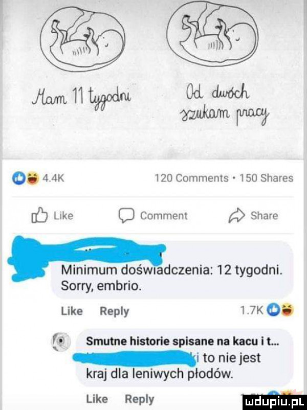 k     comments     shares like comment stare    o minimum doświadczenia    tygodnl. sorry embrio. like repry    k  . smutne hlstorle spis ne iii kacu t. i to nie jest kraj dla leniwych płodów