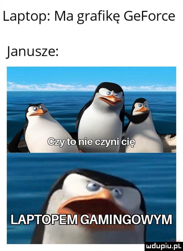 laptop ma grafikę geforce janusze   a szytonleczymcm p. laptopem gamingowym