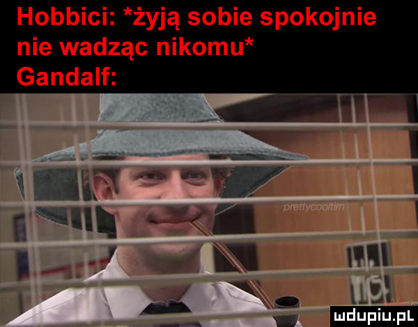 hobbici żyją sobie spokojnie nie wadząc nikomu