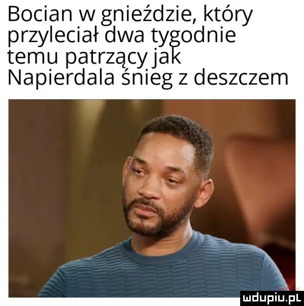 bocian w gnieździe który przyleciał dwa ty ognie temu patrzącyja napierdala śnieg z deszczem