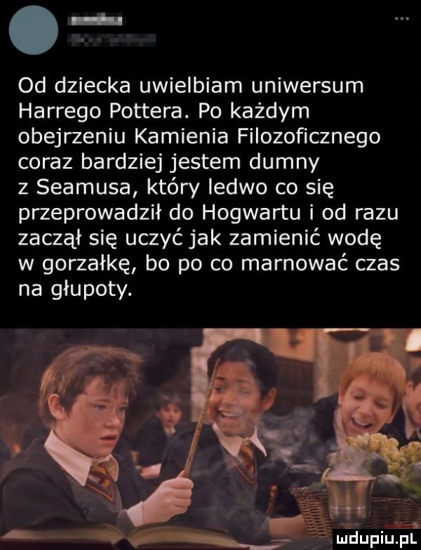 o od dziecka uwielbiam uniwersum hardego pottera. po każdym obejrzeniu kamienia filozoficznego coraz bardziej jestem dumny z seamusa kiery ledwo co się przeprowadził do hogwartu i od razu zaczął się uczyć jak zamienić wodę w gorzałkę bo po co marnować czas na głupoty