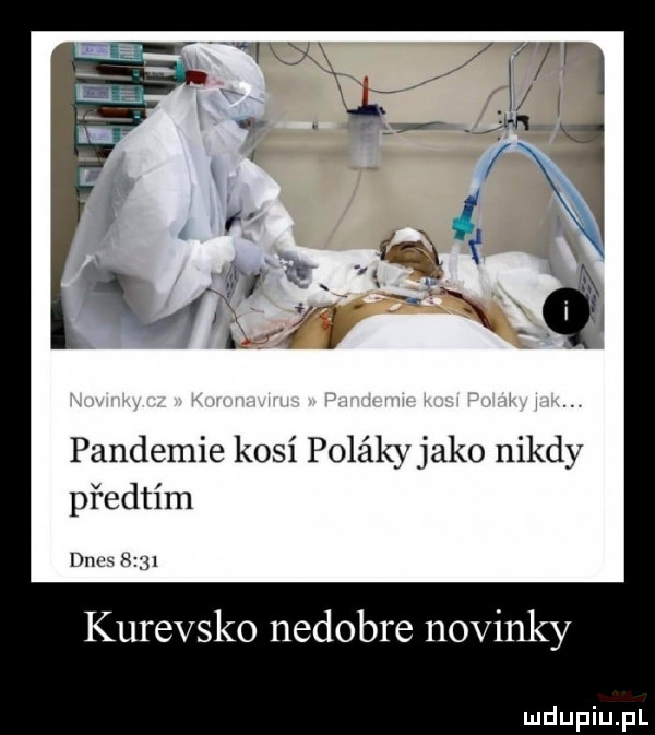 pandemie kosi polékyjako nigdy pf edtom dum      kurewsko nedobre novinky