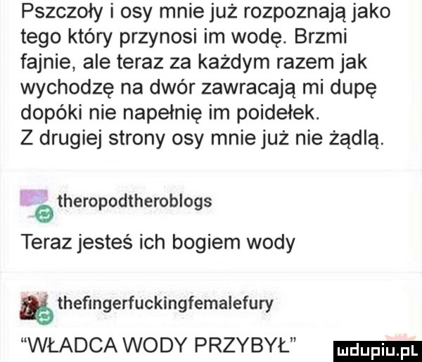 pszczoły i osy mnie już rozpoznają jako tego który przynosi im wode. brzmi fajnie ale teraz za każdym razem jak wychodzę na dwór zawracają mi dupę dopóki nie napełnię im poidełek. z drugiej strony osy mnie już nie żądlą. a hero odtheroblo s   p q teraz jesteś ich bogiem wody thefmgerfuckingfemalefury władca wody przy był