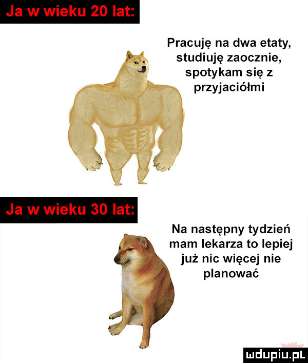 pracuję na dwa etaty studiuję zaocznie spotykam się z przyjaciółmi na następny tydzień mam lekarza to lepiej już nic więcej nie planować