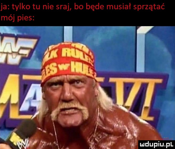 ja tylko tu nie sraj bo będe musiał sprzątać mój pies