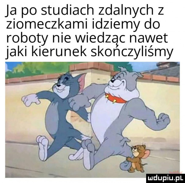 ja po studiach zdalnych z ziomeczkami idziemy do roboty nie wiedząc nawet jaki kierunek skończyliśmy i i