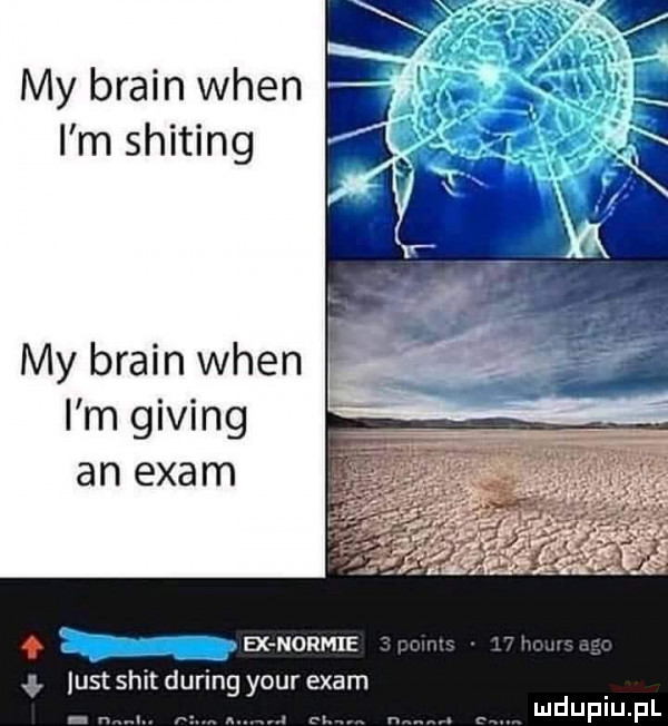 my braun wien i m shiting my braun wien. i m giving an edam ex normie. ust skit during your edam