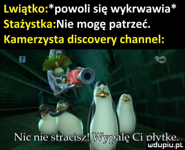 lwiątko piwo i się wykrwawia stażystka nie mogę patrzeć. kamerzysta discovery channel i   e. ll palę ci dłvtke. nic nie stramsz mduplu pl