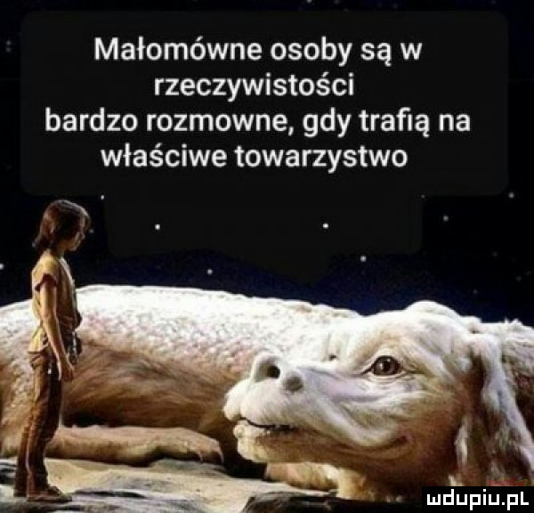 małomówne osoby są w rzeczywistości bardzo rozmowne gdy trafią na właściwe towarzystwo