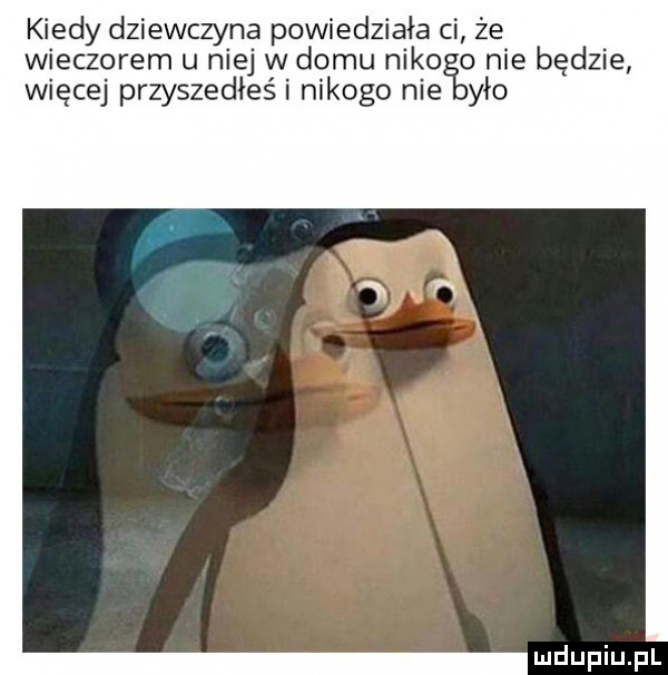 kiedy dziewczyna powiedziała ci że wieczorem u niej w domu niko o nie będzie więcej przyszedłeś i nikogo nie yło