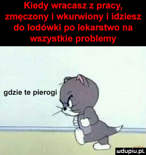 kiedy wracasz z pracy zmęczony i wkurwiony i idziesz do lodówki po lekarstwo na wszystkie problemy gdzie te pierogi ludu iu. l