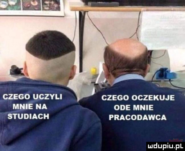 czego uczyli czego oczekuje jamie na ode mnie studiach pracodawca