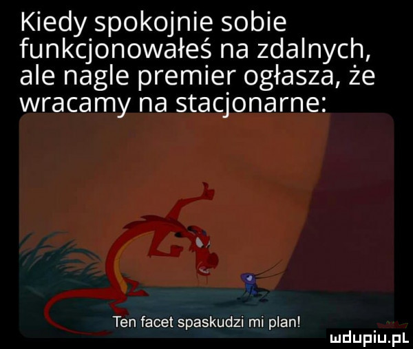 kiedy spokojnie sobie funkcjonowałeś na zdalnych ale nagle premier ogłasza że wracamy na stacjonarne. a ten facet spaskudzi mi plan