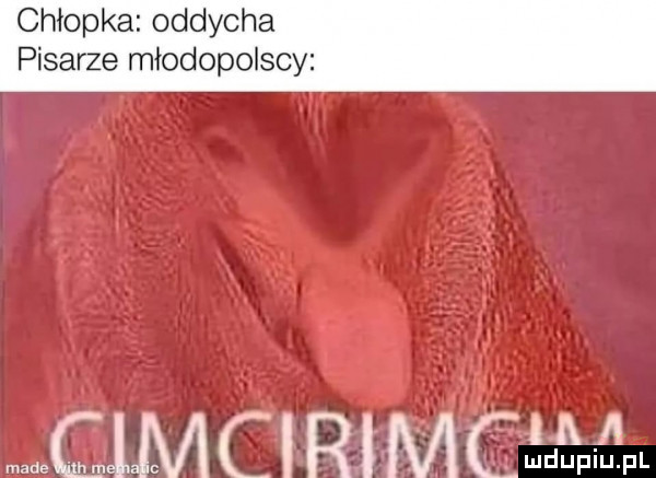 chłopka oddycha pisarze młodopolscy clinic i ram ma