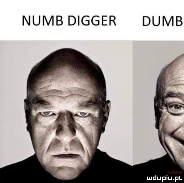 nimb digger dumb