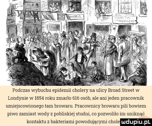 podczas wybuchu epitemu cholery na ulicy broad street w londynie w     roku zmarło     osób ale ani jeden pracownik umiejscowionego tam browaru. pracownicy browaru pili bowiem piwo zamiast wody z pobliskiej studni co pozwoliło im uniknąć kontaktu z bakteriami powodującymi czole