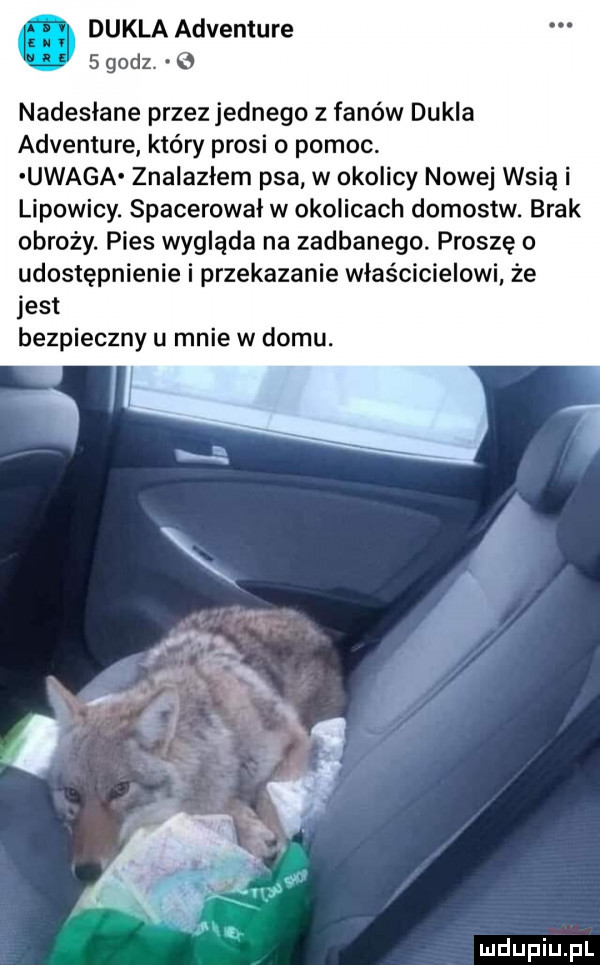 dukla adventure   godz.   nadesłane przezjednego z fanów dukla adventure który prosi o pomoc. uwaga znalazłem psa w okolicy nowej wsią i lipowicy. spacerowal w okolicach domostw. brak obroży. pies wygląda na zadbanego. proszę o udostępnienie i przekazanie właścicielowi że jest bezpieczny u mnie w domu