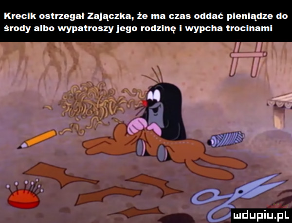 krecik ostrzegał zajączka że ma czas oddać pieniądze do środy albo wypaproszy logo rodxlnę i wypclla lroclnaml