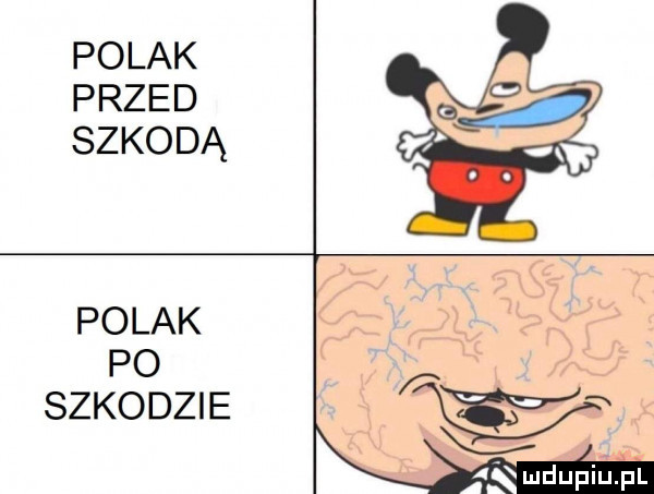polak przed szkodą polak po szkodzie kr w