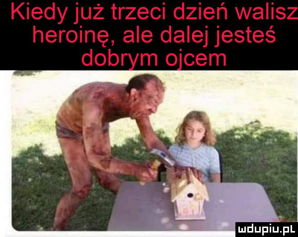 mdupillpl