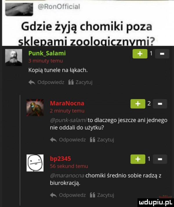 gdzie żyją c osiki poza punkisalami.   kopią tunele na łąkach. f maranocna.   to d aczego jeszcze anijednego me oddah do uzytku bp    .   chomiki średnio sople radzą z biurokracją